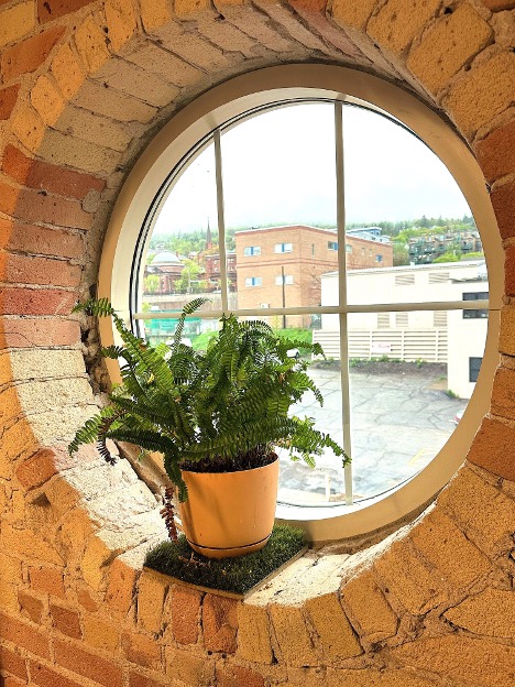 Indoor greenery and outdoor lighting sources are critical to creating a healthy indoor space. We love these architectural details in our home office. 