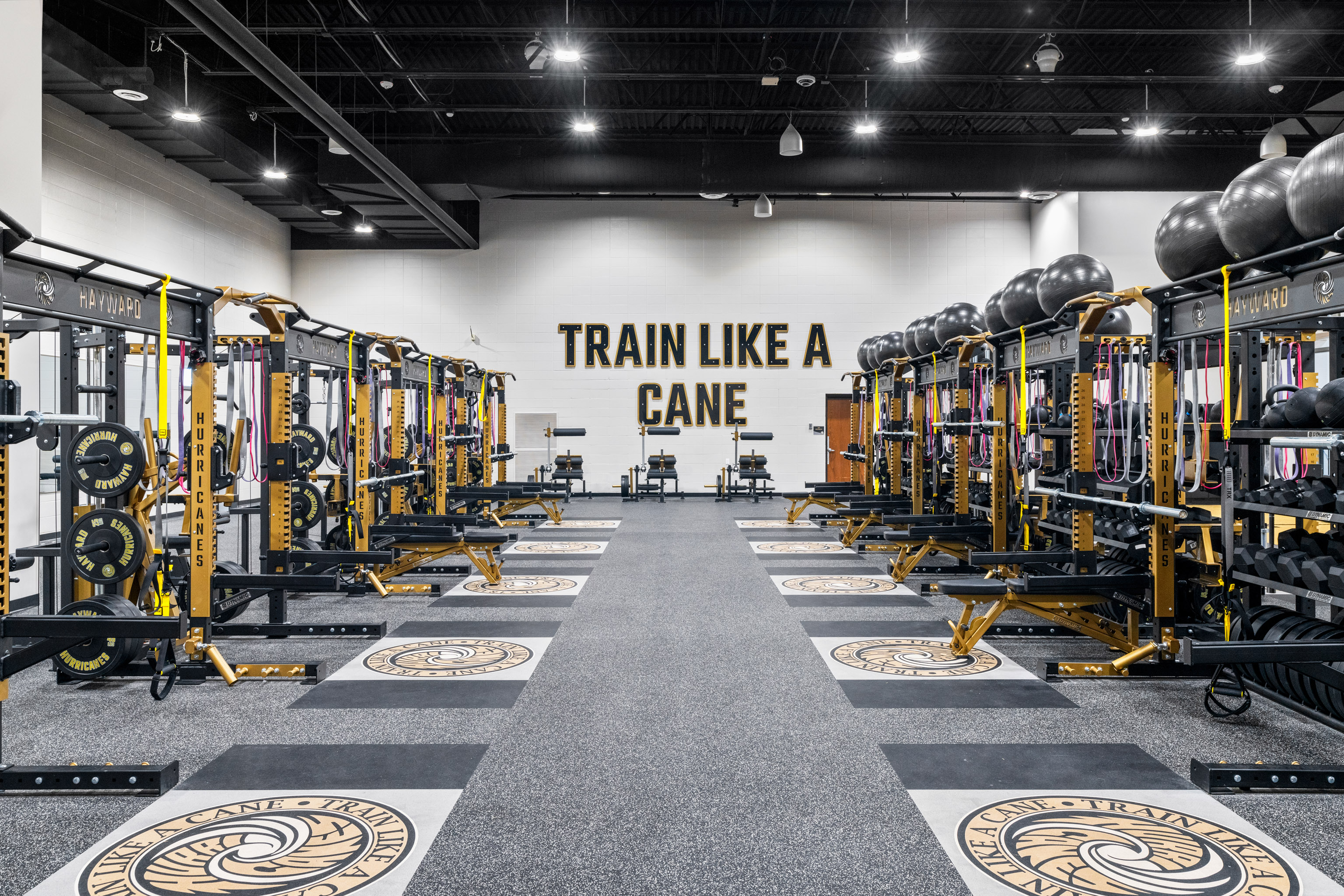 A modern gym with multiple weightlifting racks and benches lined up on both sides of a central walkway; "TRAIN LIKE A CANE" is written on the back wall. Exercise balls are stored above the racks.